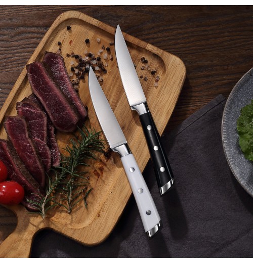 Hot Sale Premium Stainless Steel Handle Steak Knife Set for Cooking with Serrated Blades and ABS
